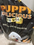 CJ제일제당 퍼피 딜리셔스 8kg (1개) : 다나와 가격비교 [다나와] CJ제일제당 퍼피 딜리셔스 8kg (1개)