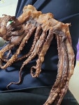 신왕에프엔비 아침미소 대왕발 1kg (1개) : 다나와 가격비교 [다나와] 신왕에프엔비 아침미소 대왕발 1kg (1개)