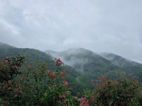 구례 지리산 나무향기 펜션 (전남) : 다나와 가격비교 [다나와] 구례 지리산 나무향기 펜션 (전남)