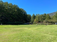 삼원농산영농조합 수입산 찰수수 2kg (2개) : 다나와 가격비교 [다나와] 삼원농산영농조합 수입산 찰수수 2kg (2개)