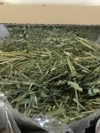 달나라토끼농장 ㅤ지리산 야생꼴 클로버 (40g) : 다나와 가격비교 [다나와] 달나라토끼농장 ㅤ지리산 야생꼴 클로버 (40g)