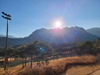 금호리조트 설악 객실 - 에누리 가격비교