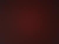 자연나라영농조합법인 자색양파즙 120ml 30포 (1개) : 다나와 가격비교 [다나와] 자연나라영농조합법인 자색양파즙 120ml 30포 (1개)