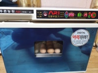 늘푸른농원 아리 40 디지털 자동부화기 : 다나와 가격비교 [다나와] 늘푸른농원 아리 40 디지털 자동부화기