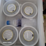 치자단무지무침 밥도둑 믿음 반찬 : 다나와 가격비교 [다나와] 치자단무지무침 밥도둑 믿음 반찬