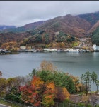 크노르 치킨파우더 1kg 치킨파우더 1kg 치킨스톡 - 에누리 가격비교