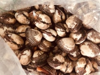 오병이어농산 벌교 새꼬막 1kg (1개) : 다나와 가격비교 [다나와] 오병이어농산 벌교 새꼬막 1kg (1개)