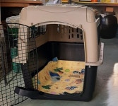 펫메이트 ㅤ바리켄넬 울트라 패션 450 : 다나와 가격비교 [다나와] 펫메이트 ㅤ바리켄넬 울트라 패션 450