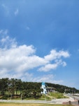 테라 주름살 테이핑 20매 (5박스) : 다나와 가격비교 [다나와] 테라 주름살 테이핑 20매 (5박스)