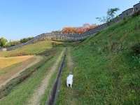 로레알파리 인팔리블 프레쉬 웨어 파운데이션 30ml (1개) : 다나와 가격비교 [다나와] 로레알파리 인팔리블 프레쉬 웨어 파운데이션 30ml (1개)