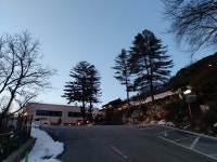 ㅤ춘천 세종호텔 (강원) : 다나와 가격비교 [다나와] ㅤ춘천 세종호텔 (강원)