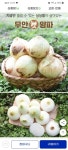 삼촌농장 전남 무안 햇 양파 중 3kg (1개) : 다나와 가격비교 [다나와] 삼촌농장 전남 무안 햇 양파 중 3kg (1개)