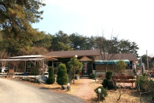 방방콕콕