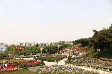 방방콕콕