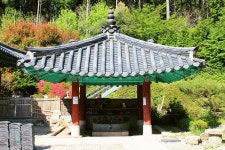 방방콕콕