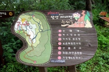 방방콕콕