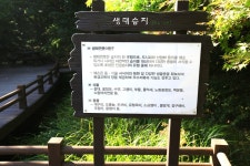 방방콕콕