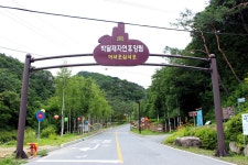 방방콕콕