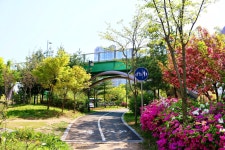 방방콕콕