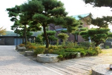 방방콕콕