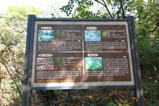 방방콕콕