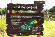 방방콕콕