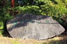 방방콕콕