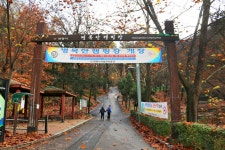방방콕콕