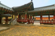 방방콕콕