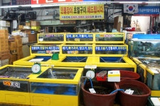 방방콕콕