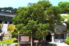 방방콕콕