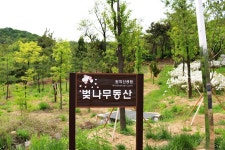 방방콕콕