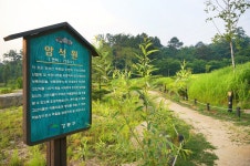 방방콕콕