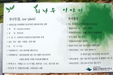 방방콕콕