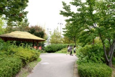 방방콕콕