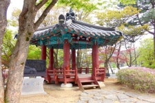 방방콕콕