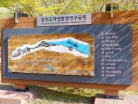 방방콕콕