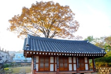 방방콕콕