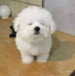 액션쾌감!!! 던전앤파이터! 액션쾌감!!! 던전앤파이터 - 간만에 쉬는 날이라 소맥좀 말아 마셨습니다.