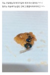 액션쾌감!!! 던전앤파이터! 액션쾌감!!! 던전앤파이터 - 식사는 맛있게 하셨습니까