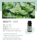 아로므 유기농 페퍼민트 에센셜 오일 10ml | 돈버는 쇼핑 도매꾹 [도매꾹] 아로므 유기농 페퍼민트 에센셜 오일 10ml
