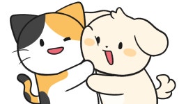 비마이펫 — 반려생활의 모든 순간을 함께합니다