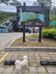 전남 화순군 세량제🩷