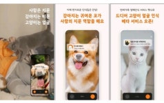 펫나우 얼굴 등록으로 유기묘 유기견 없는 세상 만들기!!