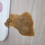 고양이 토