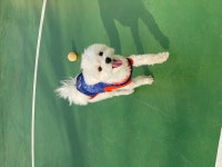 오늘도 산책하고 왔어요~!(미세먼지 나쁨주의)