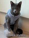 간단 4컷만화