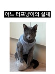 간단 4컷만화