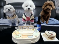 우리끼리 조촐파티 🎂