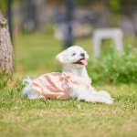 알콩이 스냅촬영 자랑💕